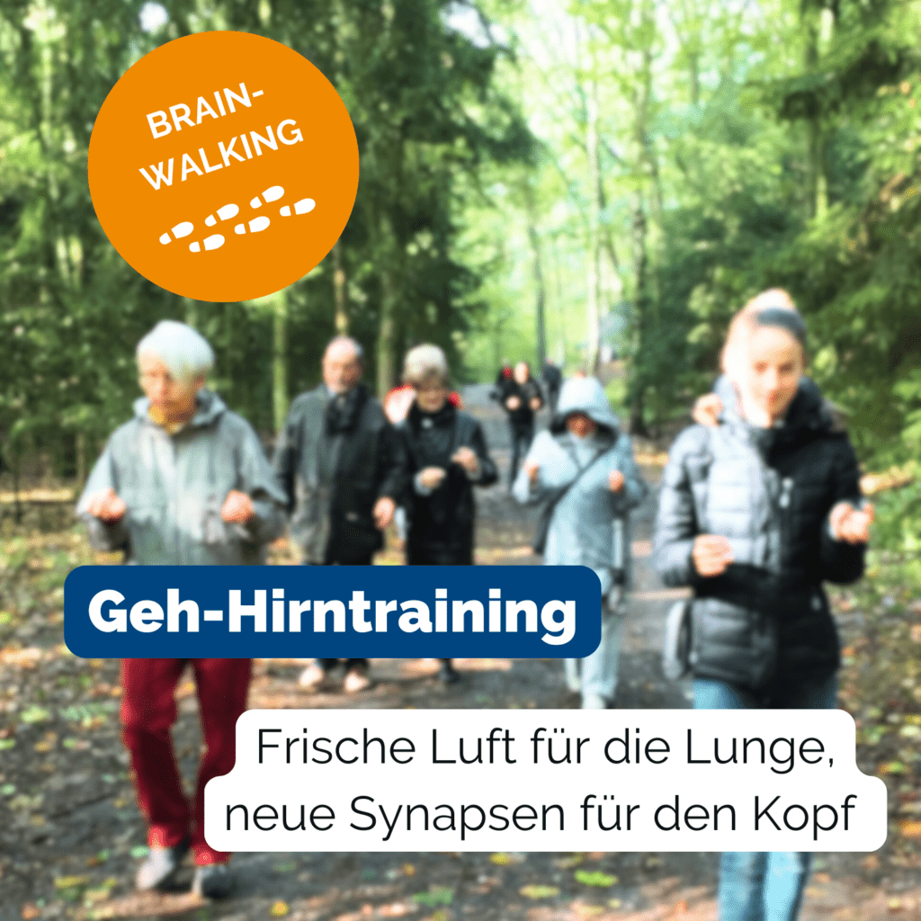 Eine Gruppe von Menschen geht im Wald spazieren und macht dabei Gehirnjogging-Übungen. Brainwalking. Geh-Hirntraining. Frische Luft für die Lunge, neue Synapsen für den Kopf.
